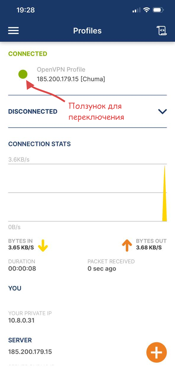 Успешное подключение OpenVPN на iOS