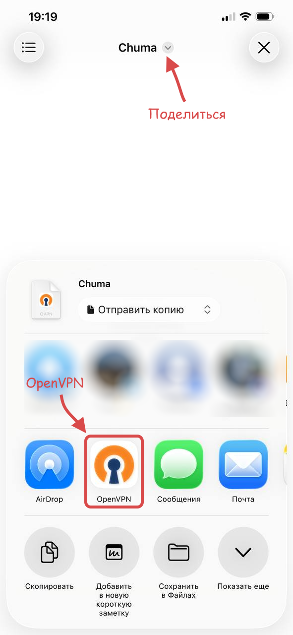 Меню Поделиться на iOS для открытия файла ovpn в OpenVPN Connect