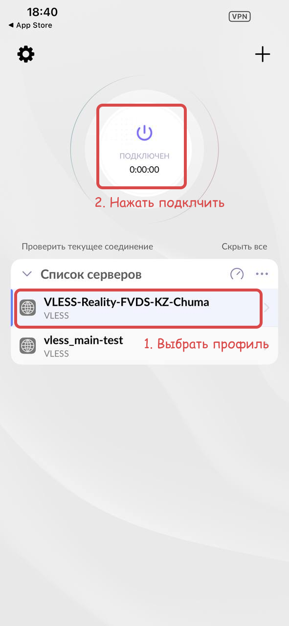 Успешное подключение VLESS на iOS