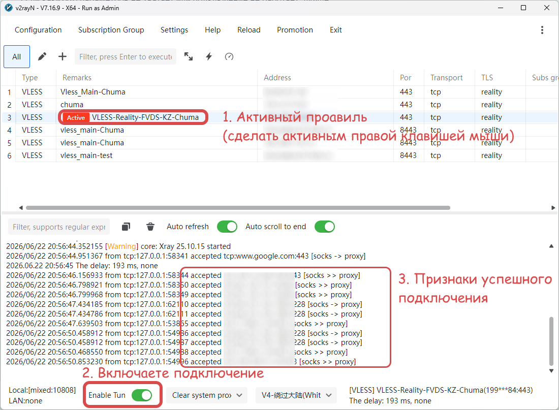 Успешное подключение VLESS на Windows